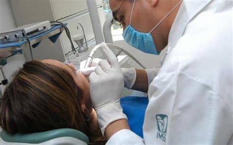 citas dentales imss|Cómo Sacar Cita con el Dentista en el IMSS